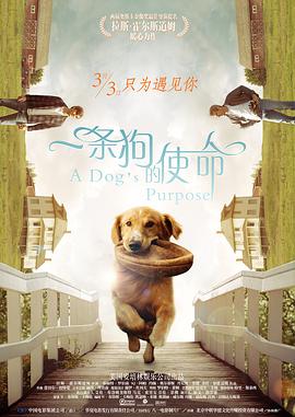 亚洲在线国产